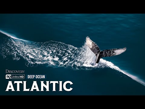 Atlantic Uncharted | The Hidden Truths Behind Earth’s Most Mysterious Ocean