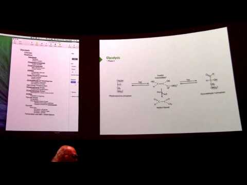 Glycolysis 2 - Kevin Ahern's BB 450 Lecture #23 2016
