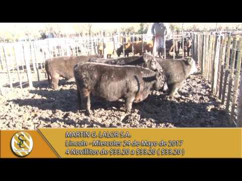 24-05-17 Ventas Gordo - Martin G. Lalor S.A. - Lincoln.