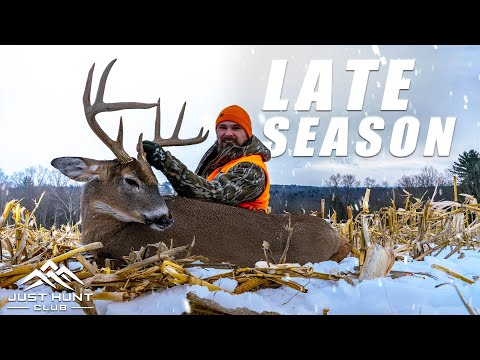 Two Days Left | Late Season Whitetail Hunting in Cold Weather