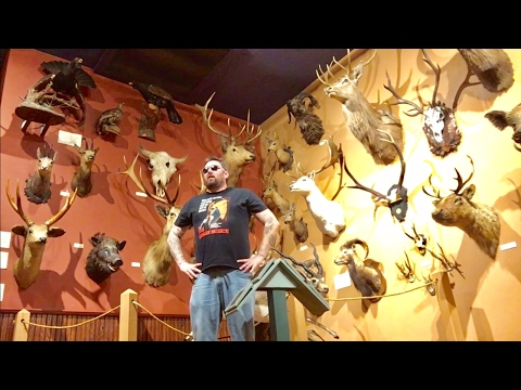 TDW 1683 - This Is A Lovely Room Of Death