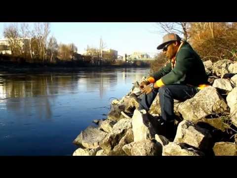 Royal Genius - Ich kann mich gut erinnern