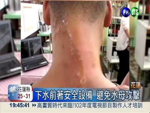 天氣熱爆了! 水母大軍攻陷石梯坪