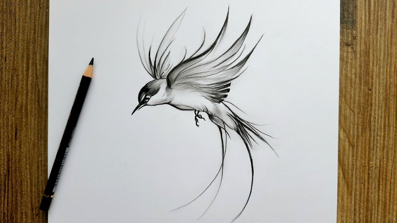 Drawing a Realistic Flying Bird / Easy Step by Step Drawing Tutorial for Beginners