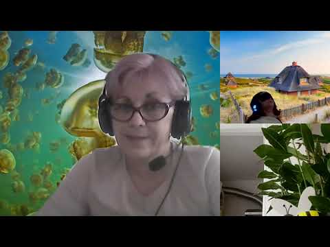 HIPNOZA REGRESIVARO-1633.Cristina,2 scribi Zeta,Tirienii si Antigravitatia E LASCU coord si ELA