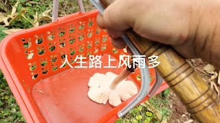 人生路上风雨多