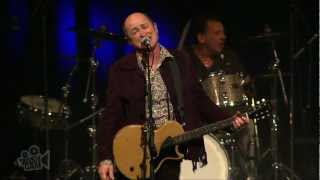 Hoodoo Gurus - Death Ship (Live at Dig It Up! Sydney) | Moshcam