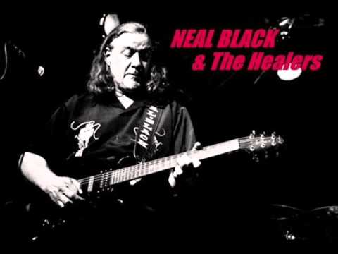Neal Black & The Healers Mississippi Doctor