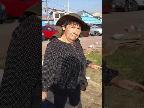 Aquí comenzamos el recorrido para conocer el Pueblito de Tomé en las Concepción Región de Bio Bio 🇨🇱