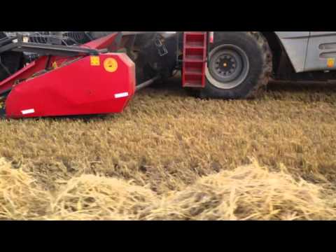 Harvest 2014