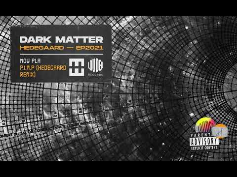 HEDEGAARD - P.I.M.P. (HEDEGAARD Remix) (Official Visualiser)