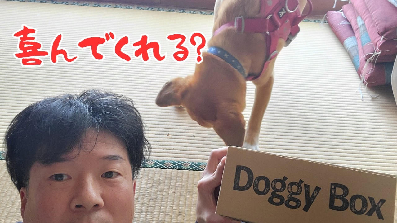 サプライズ・・・喜んでくれるかな？