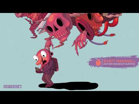 Wyatt Marshall - Anothe Redundant Question [DIRTYBIRD]