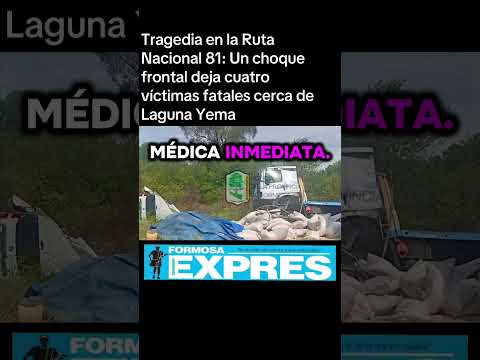 Tragedia en la Ruta Nacional 81: Un choque frontal deja cuatro víctimas fatales cerca de Laguna Yema