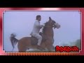 Malayalam Movie Aakrosham Part 27 Out Of 42 Mohanlal Prem Nazir Srividya HD