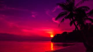 Calcutta Offroad - Sheltering Skies