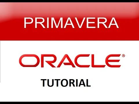 Primavera P6 Tutorial for Beginners | What is Primavera P6 Used For? | Core features of Primavera P6