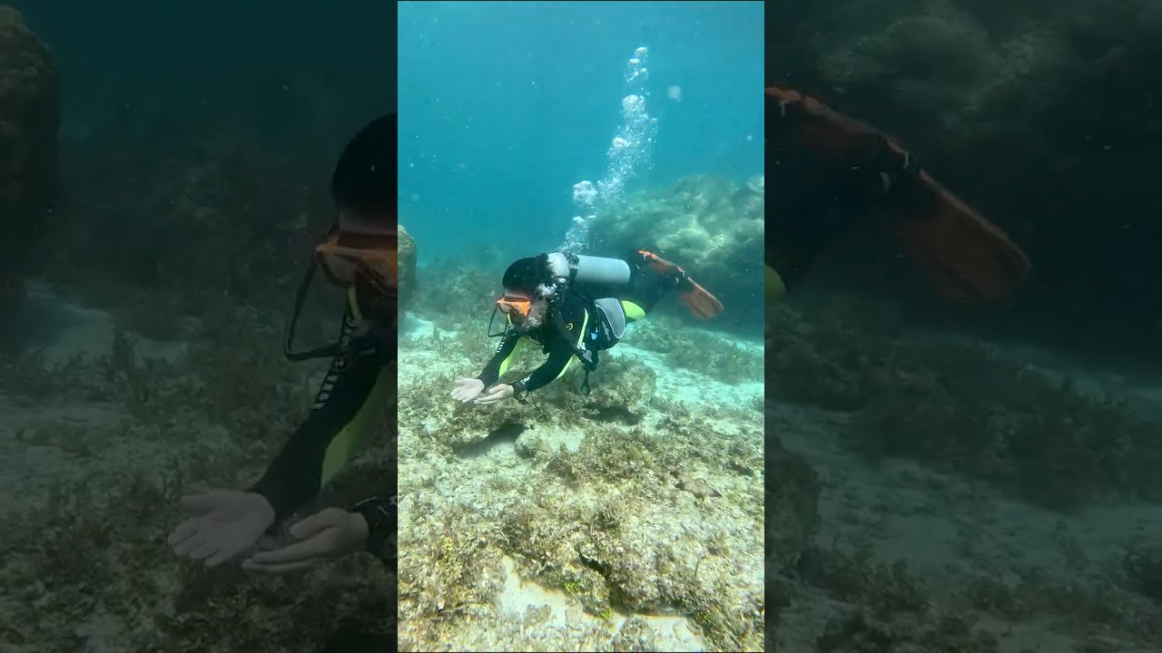 YouTube Short thumbnail