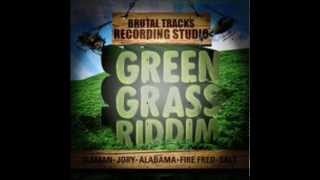 Magnum - Hype Like Galore (Sel Face Diss) [Green Grass Riddim] SEPT 2013