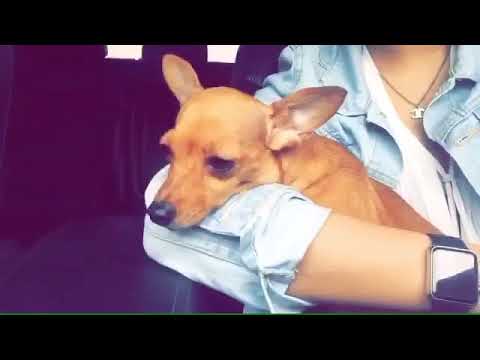 Look who picked me up in the airport!