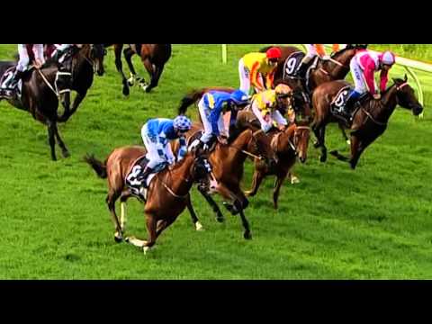 Ascot, 16/01/2015 - Race 8 - BARAKI BEATS - Jim Taylor