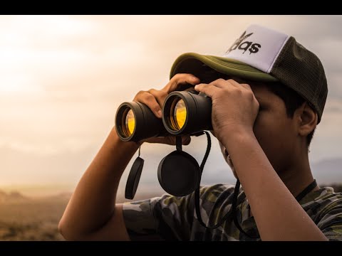 02-04-24 Ko tu meklē?