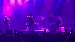 The Beasts - aka Beasts of Bourbon tribute band ;) Hard Work Drivin' Man. Metro Sydney 5 April 2024