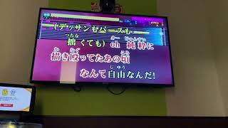 【Paintër】カラオケ　2人で歌ってみた