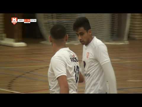 Samenvatting Bristol Team - CFM/Transito 2019/2020