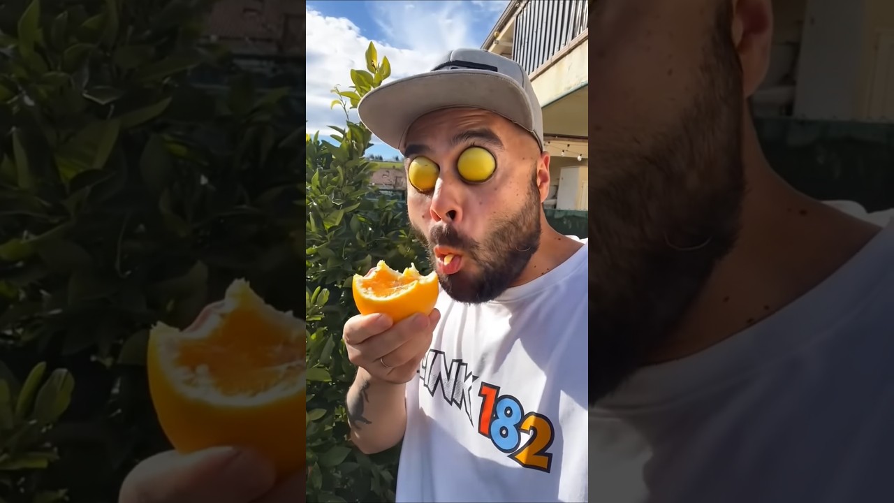 I want to try my Oranges and Bananas🍊🍌 #shorts #youtube #fruits #funny
