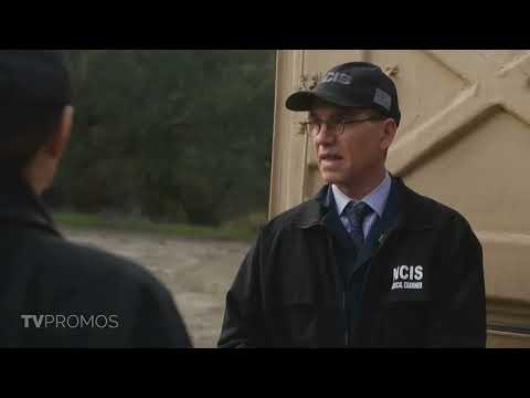 NCIS 20x14 Promo "Old Wounds"