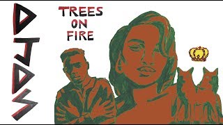 Trees On Fire Music Video