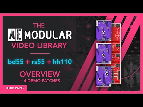 The AE Modular Video Library - bd55 + rs55 + hh110 µModules