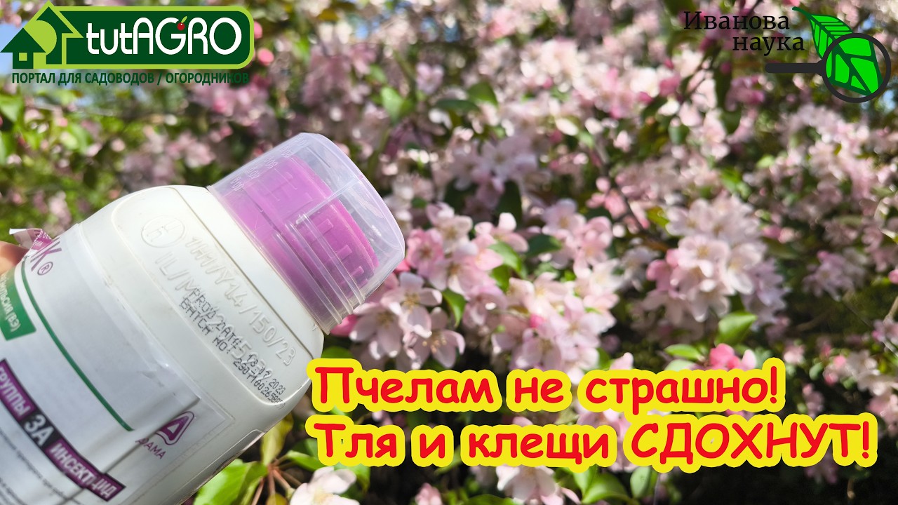 🌸 Обрабатываю ДАЖЕ по ЦВЕТКАМ: ВСЕ ВРЕДИТЕЛИ исчезают, урожай растет! Пчелы 