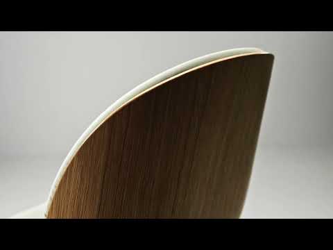 Beetle in 3D Veneer
