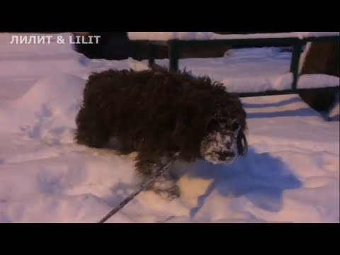 Природные аномалии. 14 марта 2019 года.Челябинск.