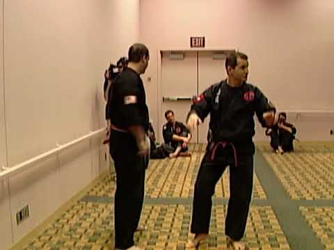 Kyusho Jitsu Evan Pantazi Ohio 1 cam 2