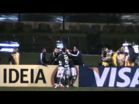 Primeiro Gol de Palmeiras 5X1 Comercial (PI) - Adriano (02/03/2011)