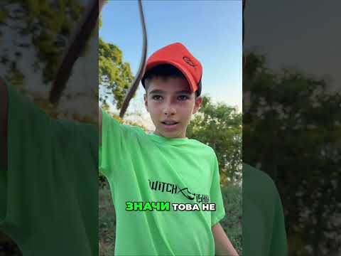 Dječak pronalazi rijetkog guštera bez nogu #shorts
