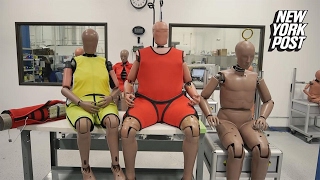 Crash test dummies are now obese