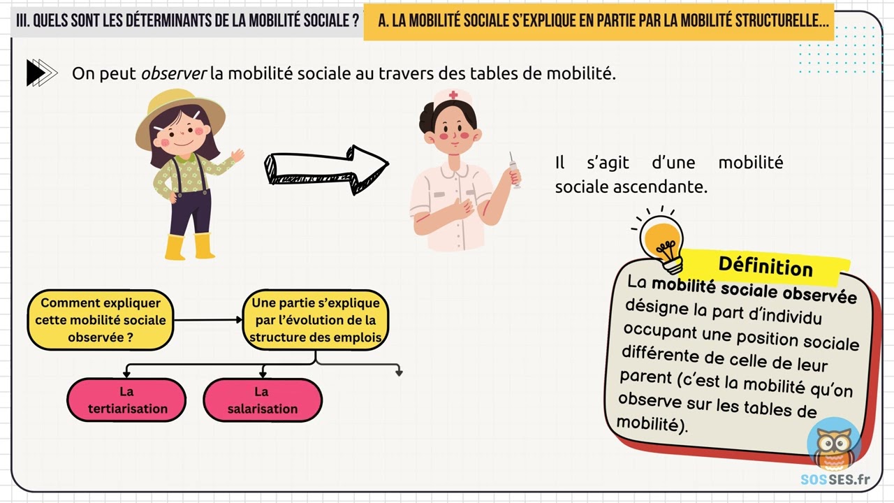 What are the characteristics and factors of social mobility? [Part 3/4]