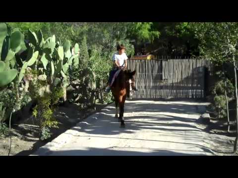 Joshua el Vaquero mas Famoso