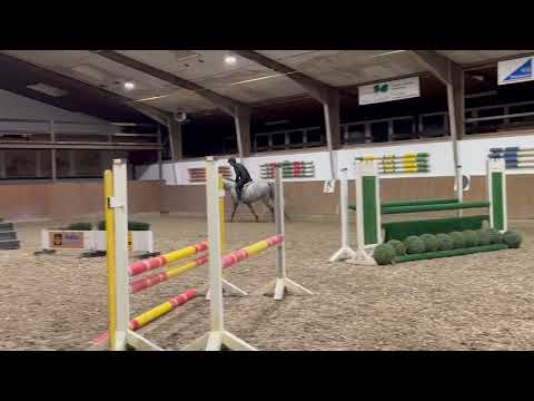 Condor video 2