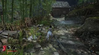 [閒聊] 明末：淵虛之羽 初步上手簡單體驗感想