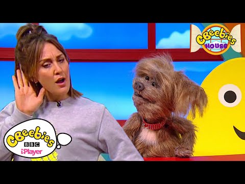 What's That Sound? Sing with Dodge and Katie | CBeebies House
