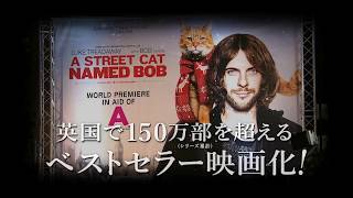 8/26���J�I�f��w�{�u�Ƃ������̔L�@�K���̃n�C�^�b�`�x