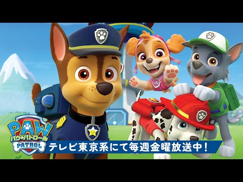 パウ・パトロール | パウ・パトロールのベストレスキュー60分！🐾 | テレビ東京系にて放送中