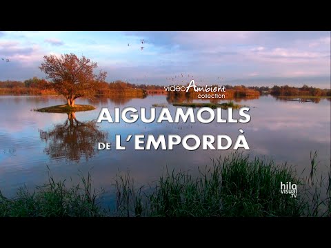 Els Aiguamolls de l'Empordà - Wildlife in the Wetlands of Emporda
