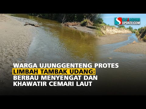 Warga Ujunggenteng Protes Limbah Tambak Udang: Berbau Menyengat dan Khawatir Cemari Laut