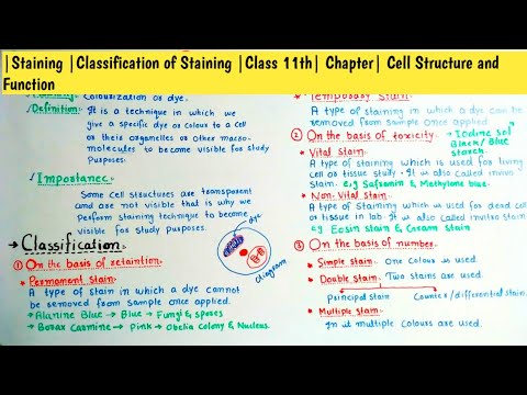 |Staining |Classification of Staining |Class 11th| Chapter| Cell Structure and Function